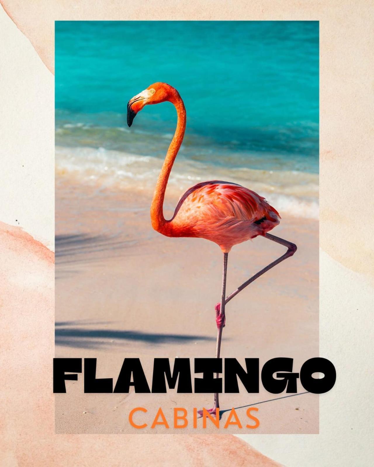Cabinas Flamingo Playa Flamingo Eksteriør bilde